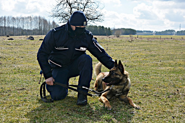 policja pies Orkan