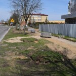 Suwałki: przsadzanie drzew Międzyzakładowa Spółdzielnia Mieszkaniowa