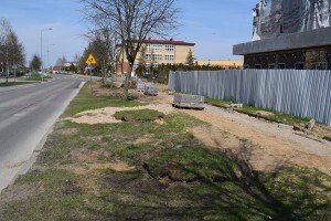 Suwałki: przsadzanie drzew Międzyzakładowa Spółdzielnia Mieszkaniowa
