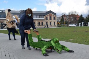 Suwałki zarybianie Czarna Hańcza Suwalski Ośrodek Kultur