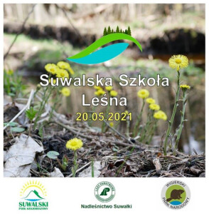 Suwalska Szkoła Leśna (on-line)