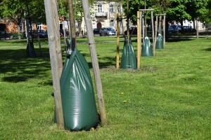 Hydrobufory w parku