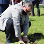 Suwałki świerki papieskie