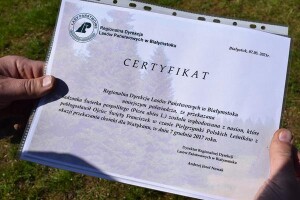 Suwałki świerki papieskie