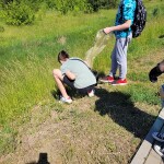 Suwałki sprzątanie miasta