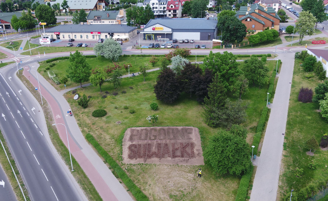 napis kwietny Pogodne Suwałki