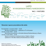lato w WPN