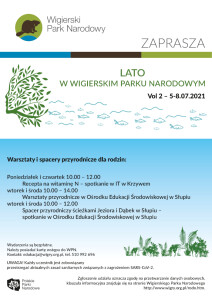 lato w WPN
