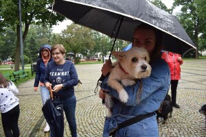 Suwałki wystawa psów nierasowych