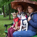 Suwałki wystawa psów nierasowych