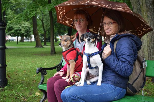 Suwałki wystawa psów nierasowych