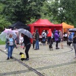 Suwałki wystawa psów nierasowych
