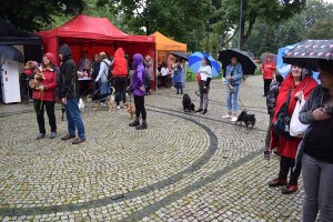 Suwałki wystawa psów nierasowych