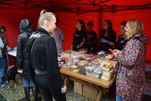 Suwałki wystawa psów nierasowych