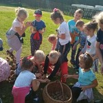 Suwałki Przedszkole nr 7 Święto pieczonego ziemniaka