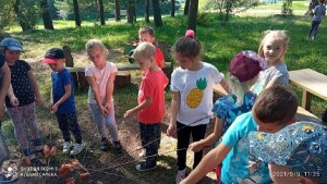 Suwałki Przedszkole nr 7 Święto pieczonego ziemniaka