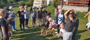 Suwałki Przedszkole nr 7 Święto pieczonego ziemniaka
