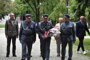 solidarność