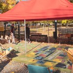 Festiwal Ekologiczny Ekowizja