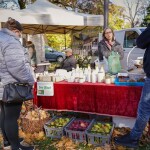Festiwal Ekologiczny Ekowizja