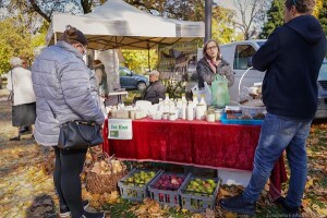 Festiwal Ekologiczny Ekowizja