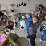 Suwałki Przedszkole nr 7 Światowy Dzień Zwierząt