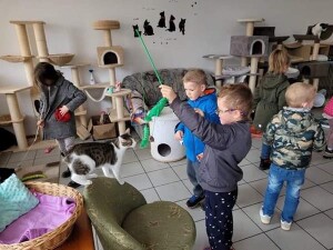 Suwałki Przedszkole nr 7 Światowy Dzień Zwierząt