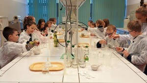 Państwowa Uczelnia Zawodowa uniwersytet dziecięcy