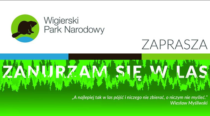 Wigierski Park Narodowy Zanurzam się w las