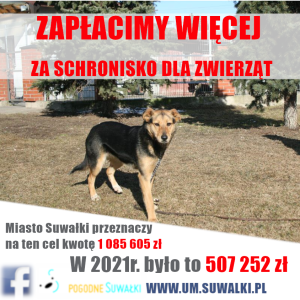 Zapłacimy dwa razy więcej za schronisko dla zwierząt