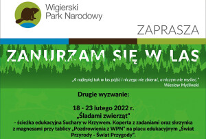 Cykl 6 leśnych wyzwań