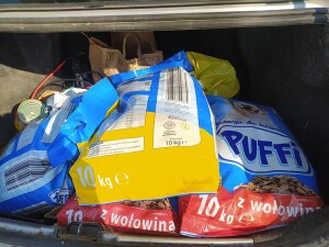 Suwałki Technikum nr 4 projekt Zwolnieni z teorii