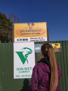 Suwałki Technikum nr 4 projekt Zwolnieni z teorii