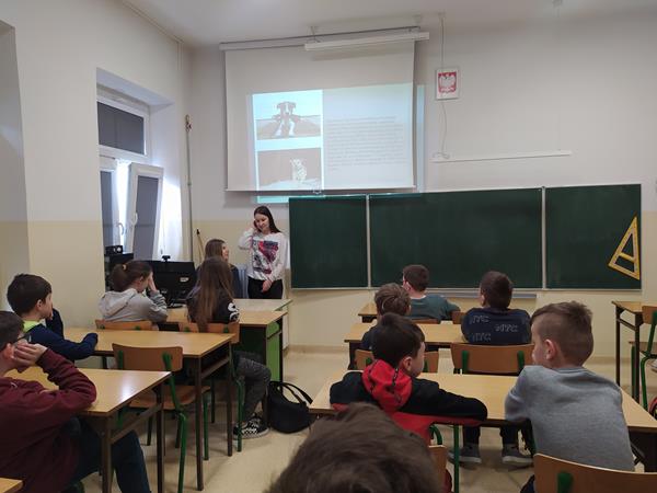 Suwałki Zespół Szkół nr 4 projekt Podaj Łapę