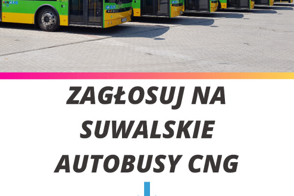 Zagłosuj na suwalskie autobusy CNG