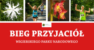 Bieg Przyjaciół WPN 2022