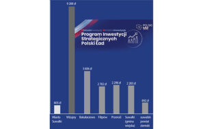 Jak podzielono pieniądze z Polskiego Ładu?