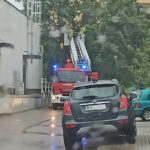 Suwałki połamane gałęzie