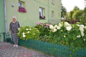 Ukwiecone Suwałki