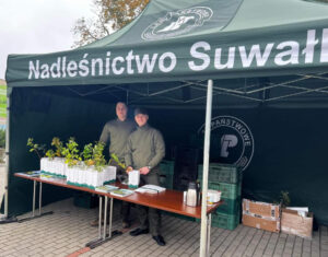 Po sadzonkę do Nadleśnictwa Suwałki