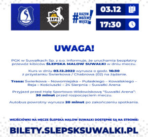 13. kolejka PlusLigi - mecz Ślepsk Malow Suwałki - LUK Lublin