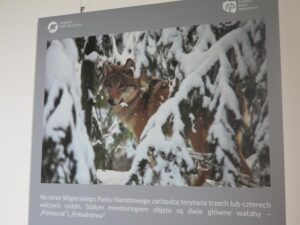 Wystawa o Wigierskim Parku Narodowym w Bibliotece Publicznej