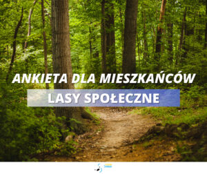 Ankieta Lasy Społeczne