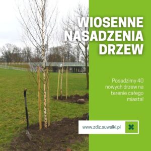 Rozpoczynają się wiosenne nasadzenia