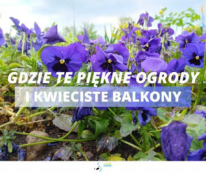 XXVIII edycja konkursu „Gdzie te piękne ogrody i kwieciste balkony…