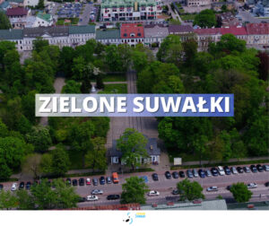 „Zielone Suwałki” – przetargi na nową zieleń