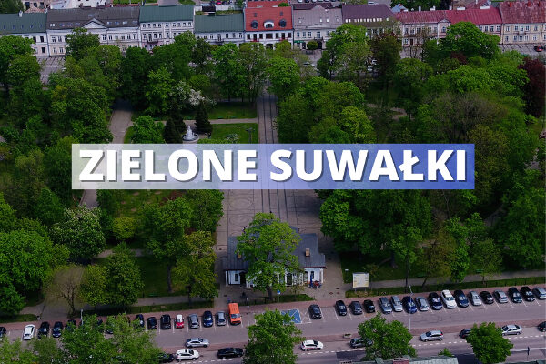 „Zielone Suwałki” – przetargi na nową zieleń