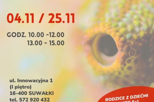 Warsztaty w suwalskiej SOWA