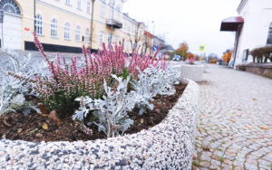 Zasadzono tysiące kwiatów