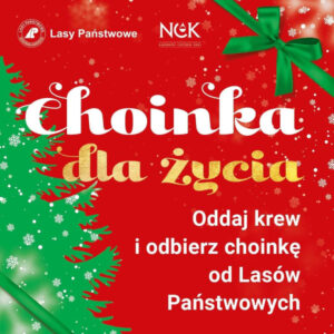 Choinka za krew